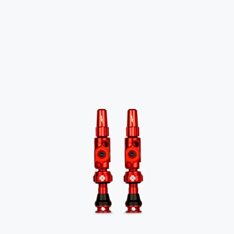 Big Bore Lite Tubeless Valves
