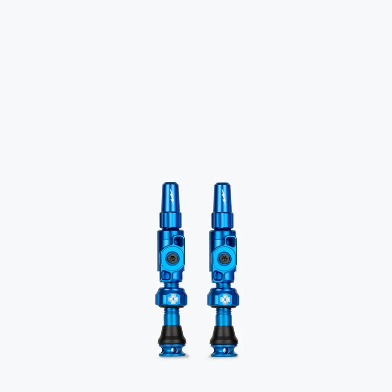 Big Bore Lite Tubeless Valves