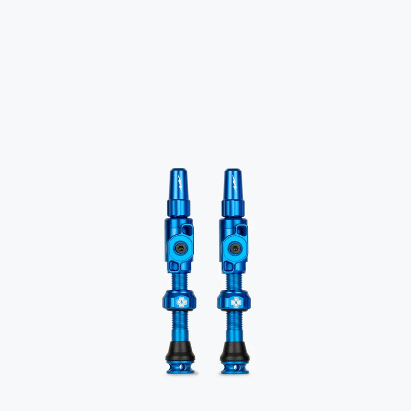 Big Bore Lite Tubeless Valves