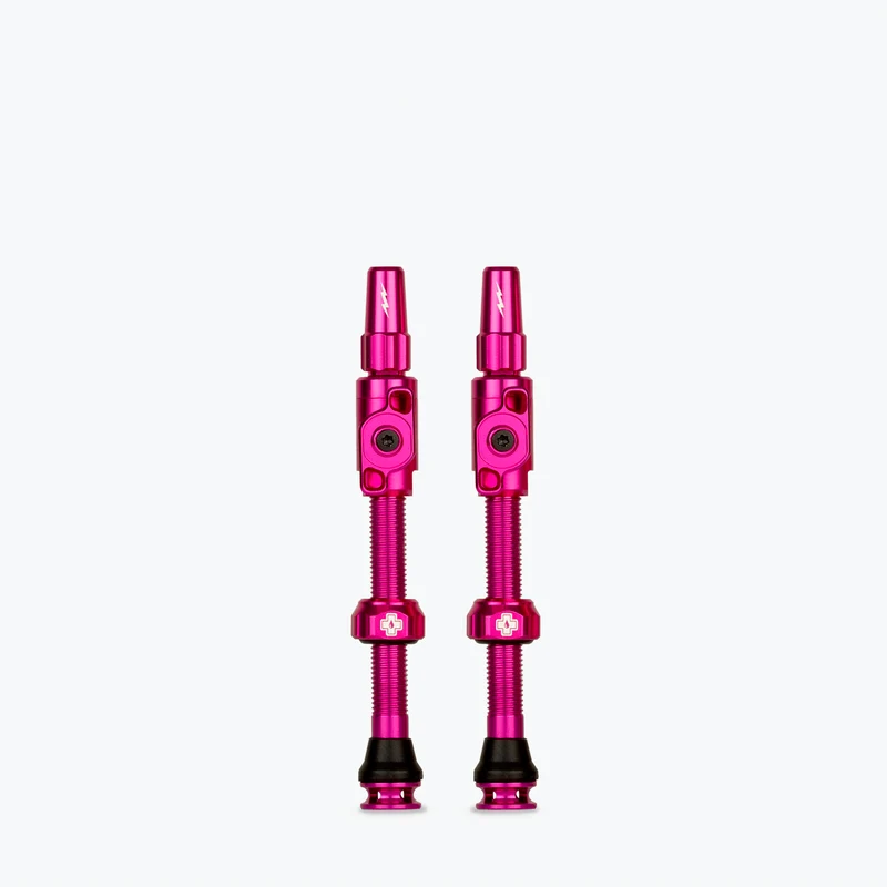 Big Bore Lite Tubeless Valves