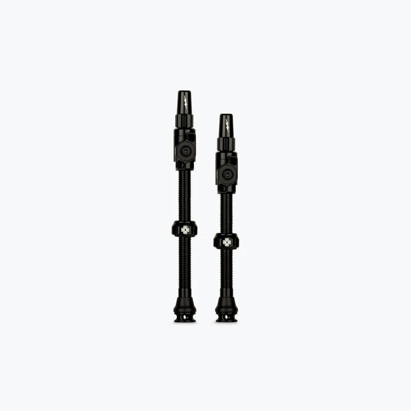 Big Bore Lite Tubeless Valves