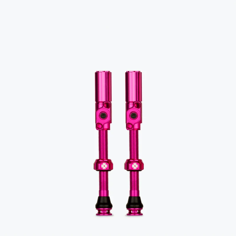 Big Bore Hybrid Tubeless Valves