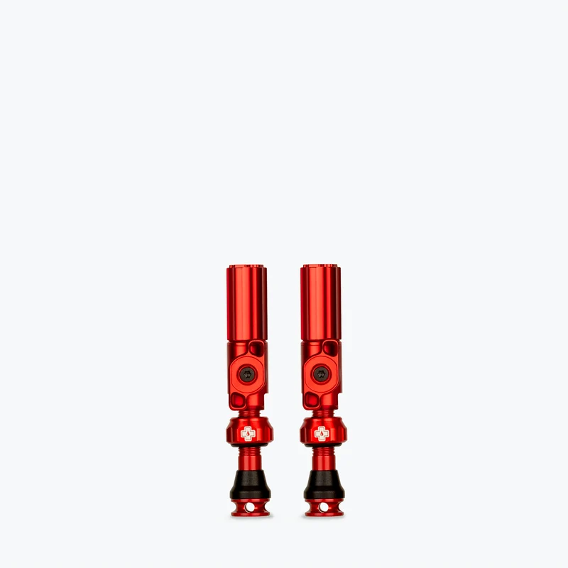 Big Bore Hybrid Tubeless Valves