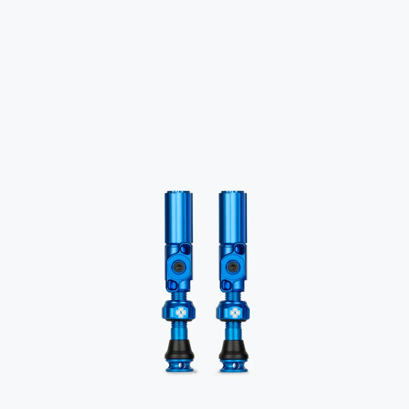 Big Bore Hybrid Tubeless Valves