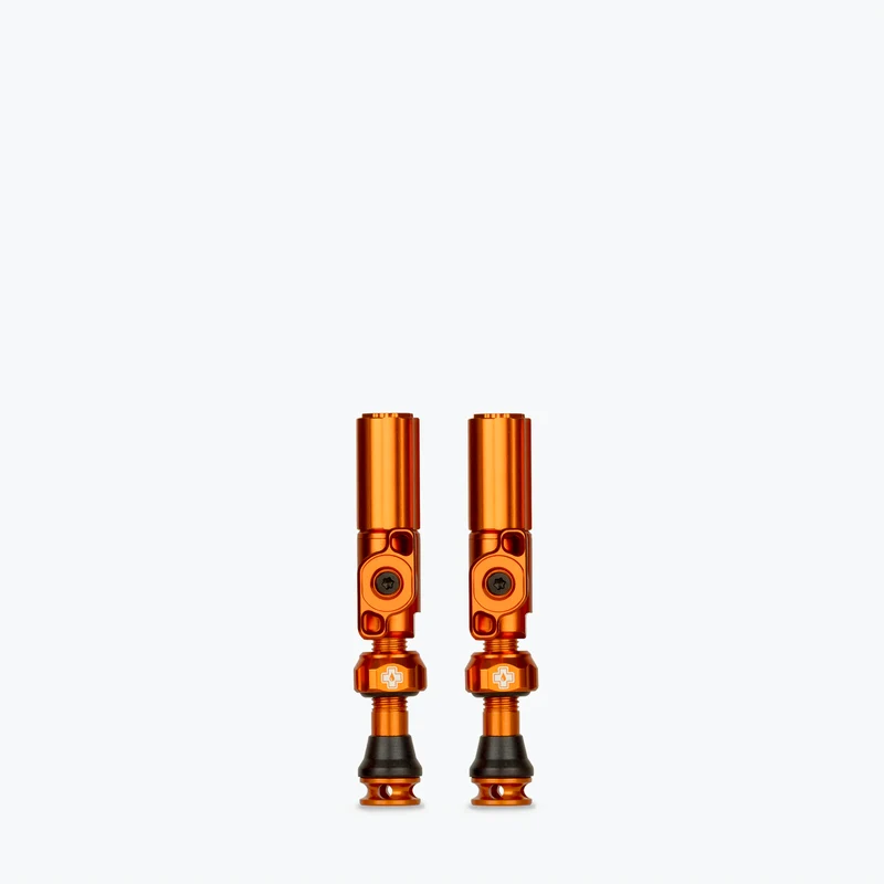 Big Bore Hybrid Tubeless Valves