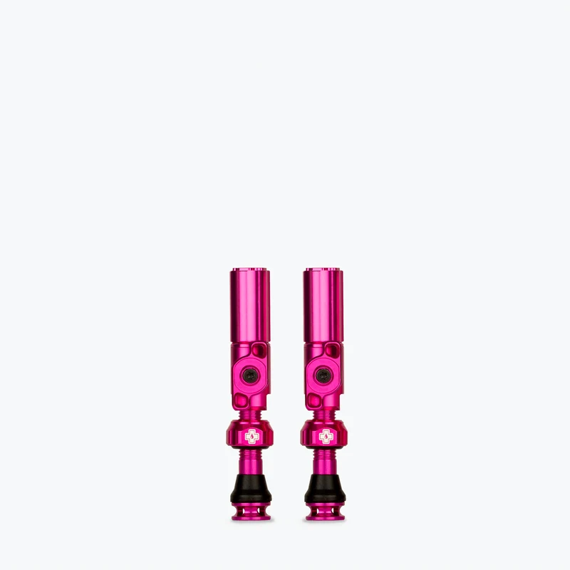 Big Bore Hybrid Tubeless Valves