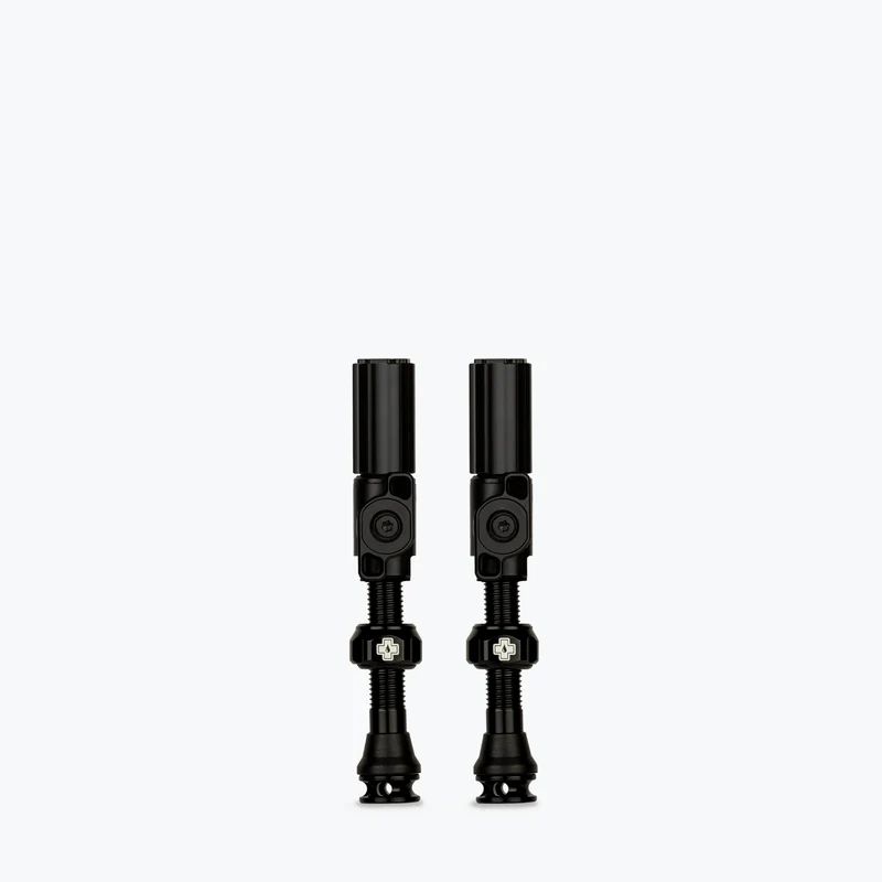 Big Bore Hybrid Tubeless Valves