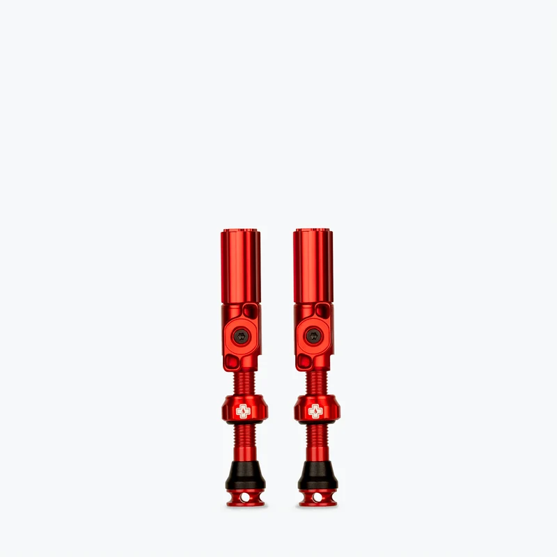 Big Bore Hybrid Tubeless Valves