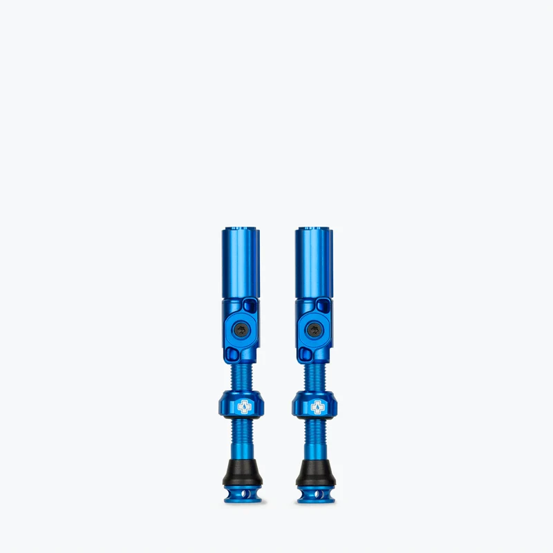 Big Bore Hybrid Tubeless Valves