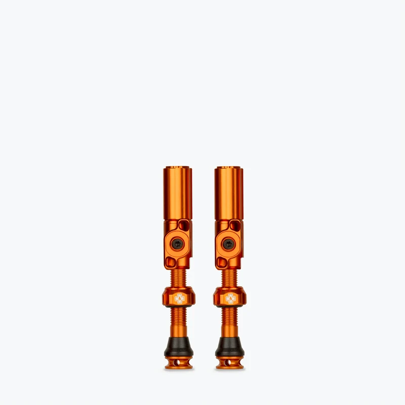 Big Bore Hybrid Tubeless Valves