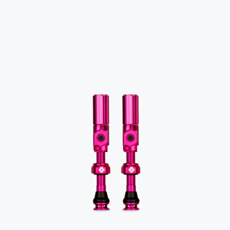 Big Bore Hybrid Tubeless Valves