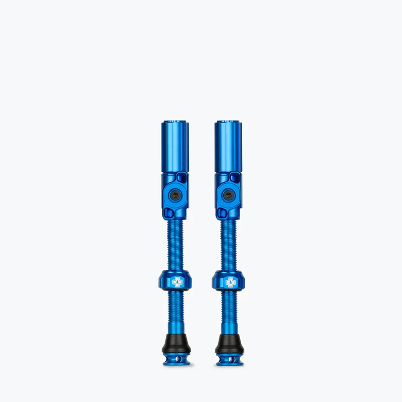 Big Bore Hybrid Tubeless Valves