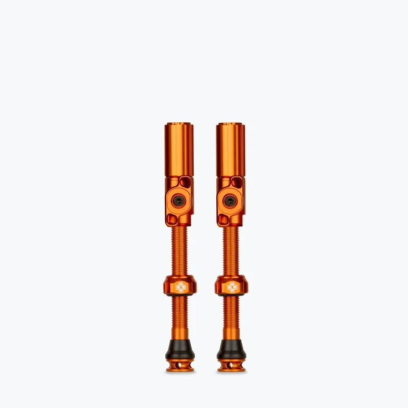 Big Bore Hybrid Tubeless Valves