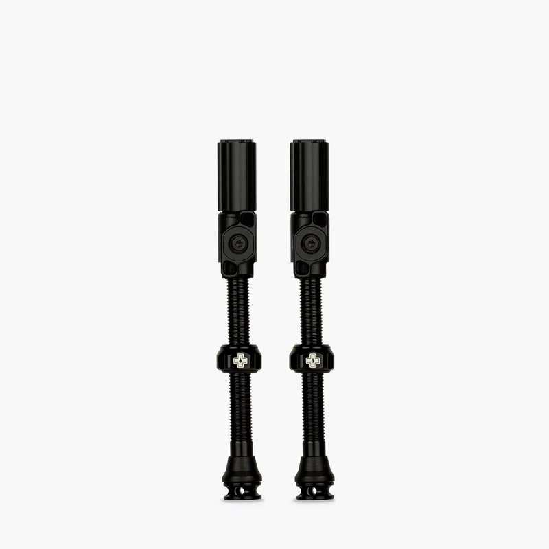 Big Bore Hybrid Tubeless Valves