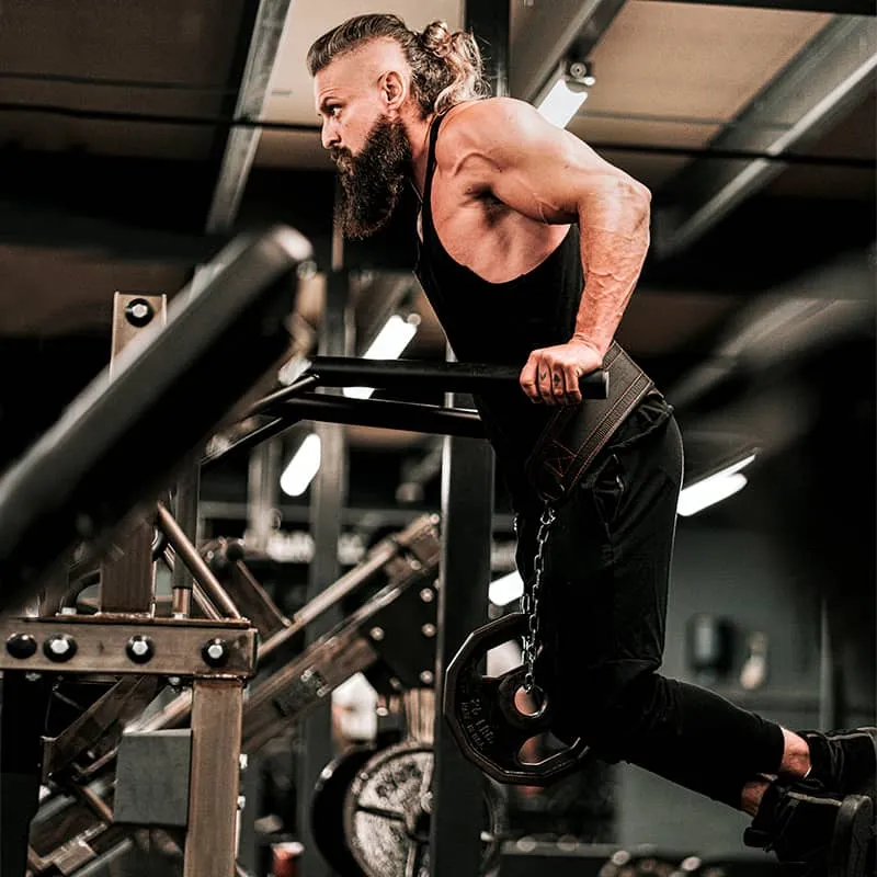 RDX T7 Krafttraining Dip Gürtel Mit Kette