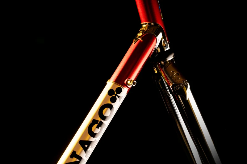Master Bike