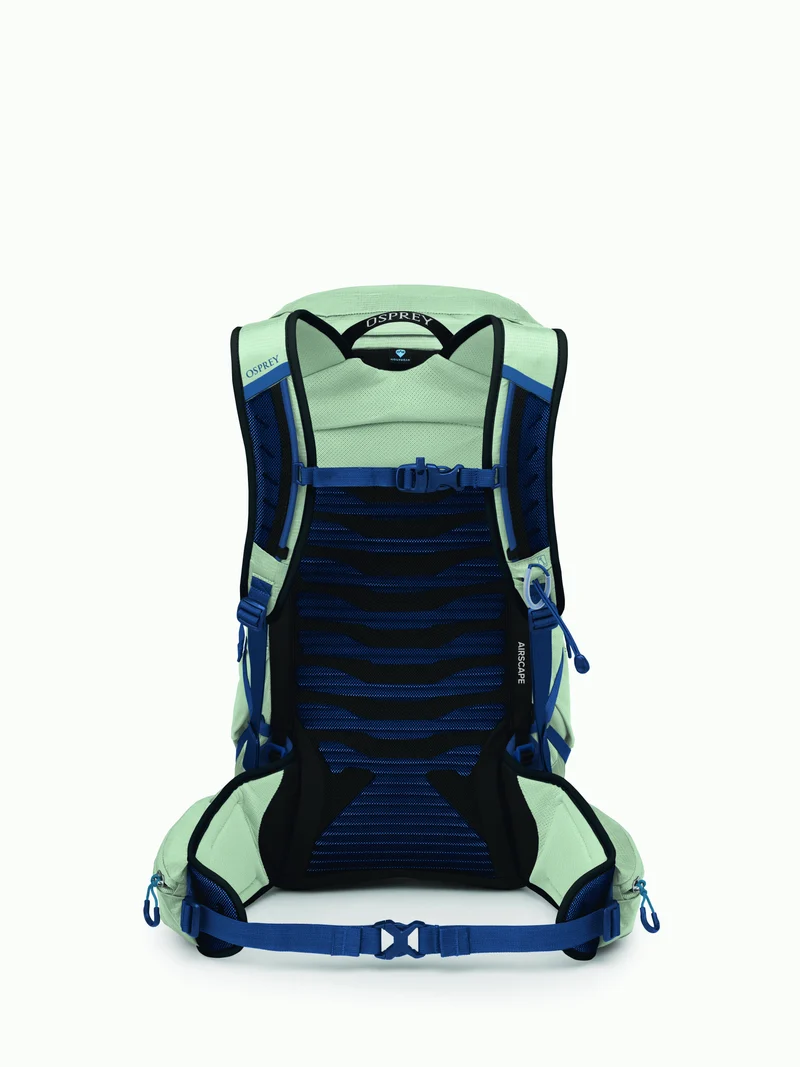 Talon 26