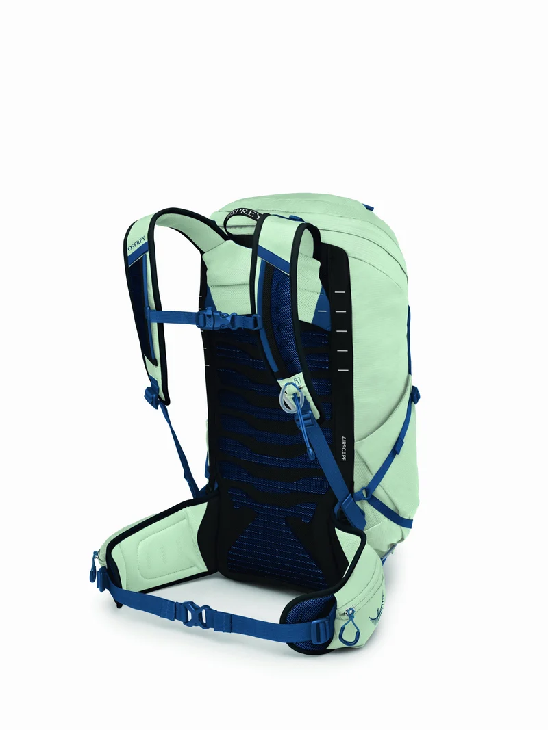 Talon 26