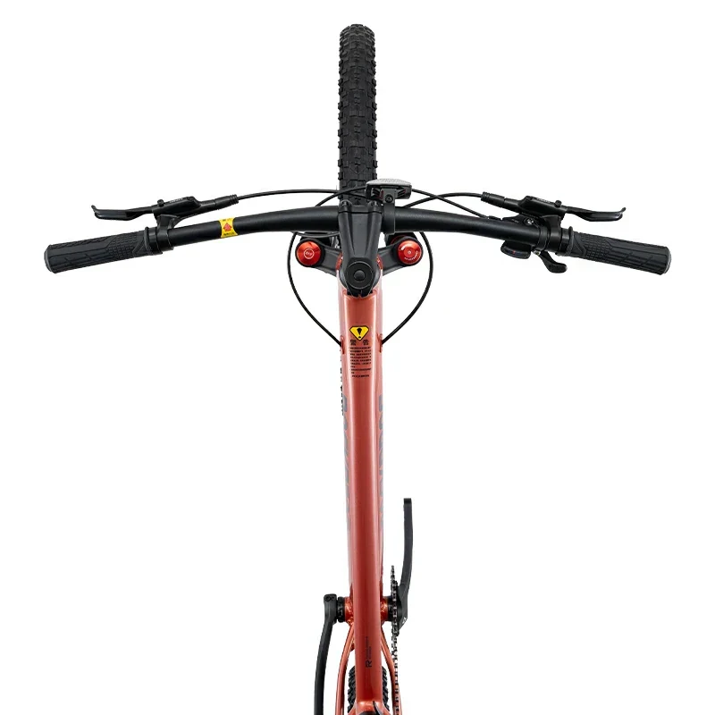 MT600 29 Zoll MTB