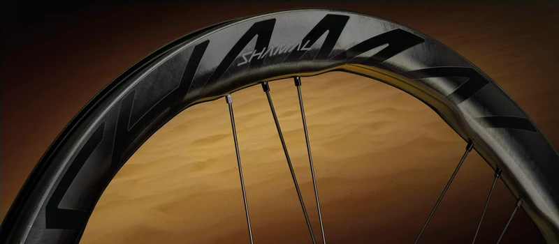 Campagnolo 28", Carbon, CL, Campagnolo N3W HR-Laufrad Shamal DualProfile DB C23 2WF