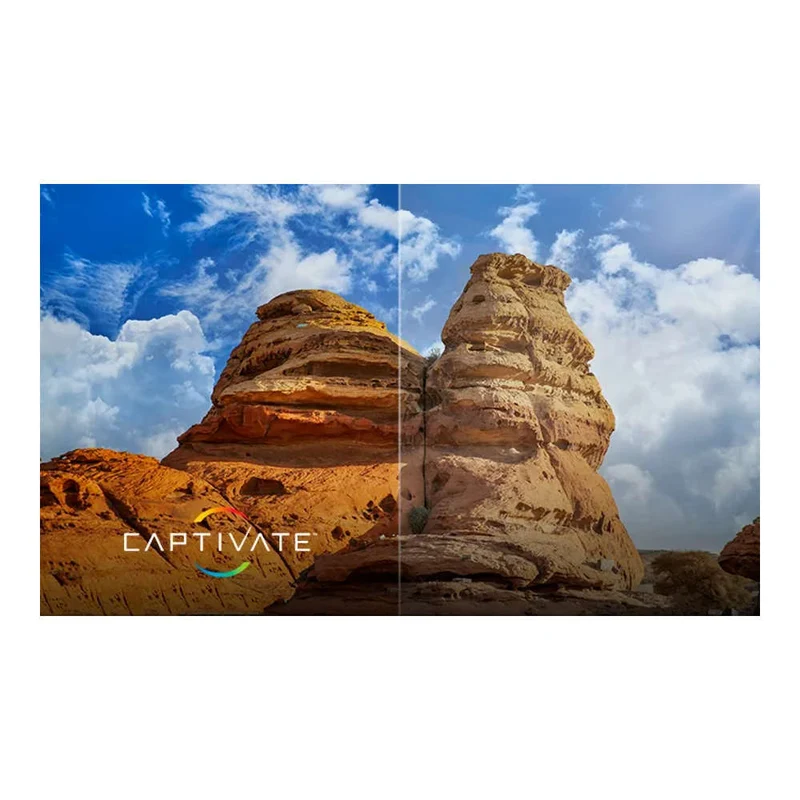 Wiley X - Founder Captivate Sonnenbrille Sand