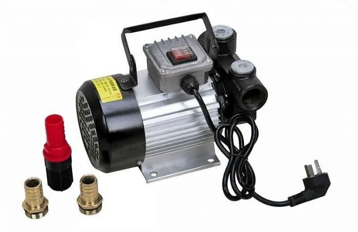 220V Dieselpumpe FIMSA 65