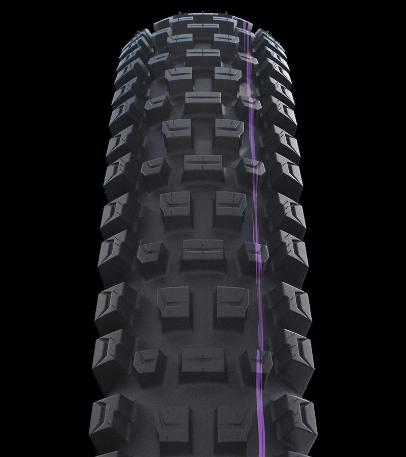 Schwalbe Albert Pro, Gravity Pro, TLR Faltreifen 29", Ultra Soft, FairRubber black