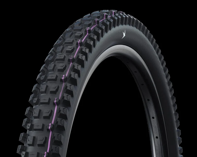 Schwalbe Albert Pro, Gravity Pro, TLR Faltreifen 29", Ultra Soft, FairRubber black
