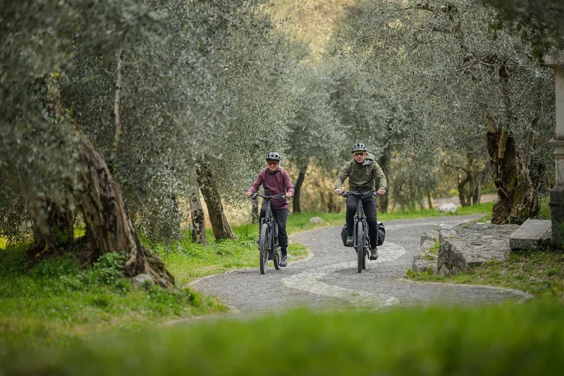 Cube Kathmandu Hybrid One11 HPC SLT 800 Wh E-Bike Diamant 28" glintsand´n´oatgrey