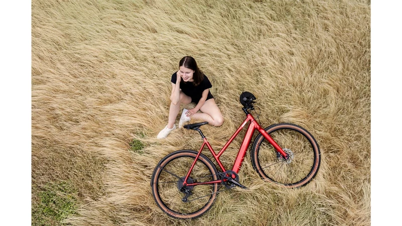 Coboc Merano TPZ 360 Wh E-Bike Trapez 27,5" district red, gloss