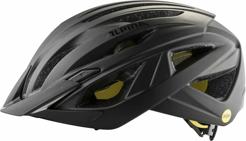 Alpina DELFT MIPS Helm black matt
