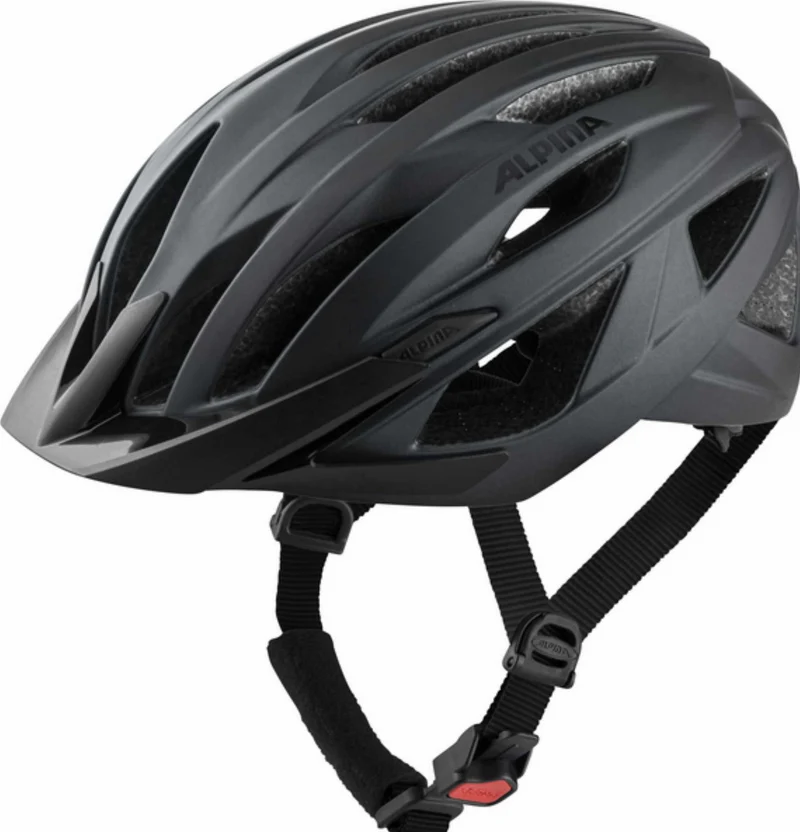 Alpina DELFT MIPS Helm black matt