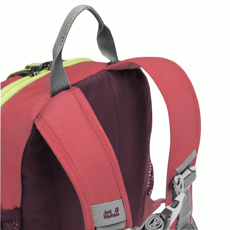 LITTLE SCOUT 10