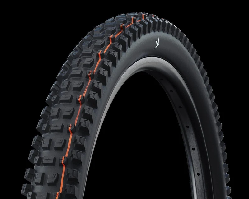 Schwalbe Albert Pro, Gravity Pro, Radial, TLR Faltreifen 29", Soft, FairRubber black