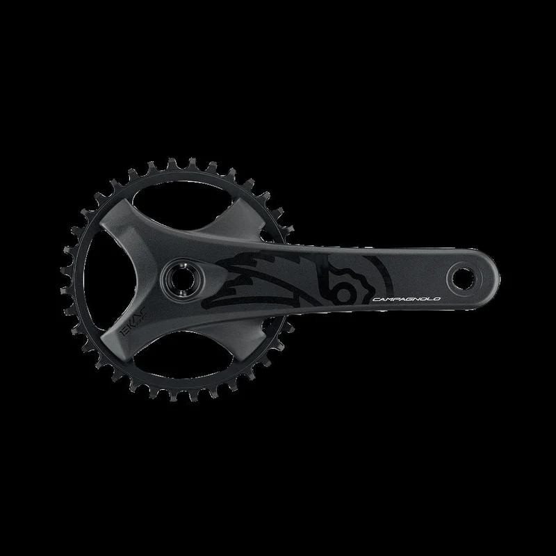 Campagnolo 13-fach,40Z.,175mm,Q-f.151mm,BCD 104mm KRG Ekar GT 13s
