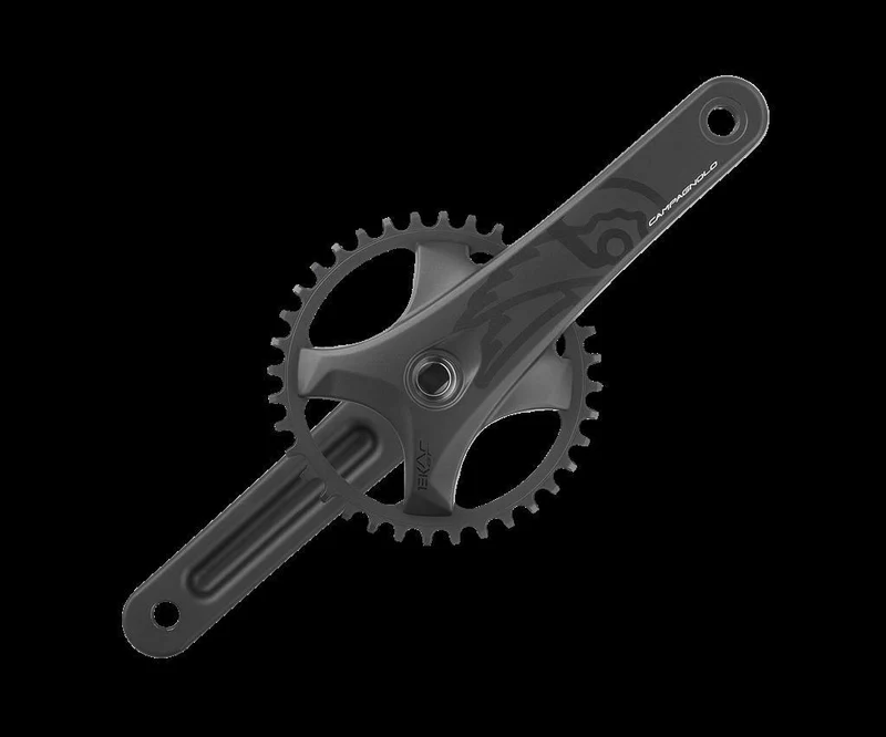Campagnolo 13-fach,40Z.,175mm,Q-f.151mm,BCD 104mm KRG Ekar GT 13s