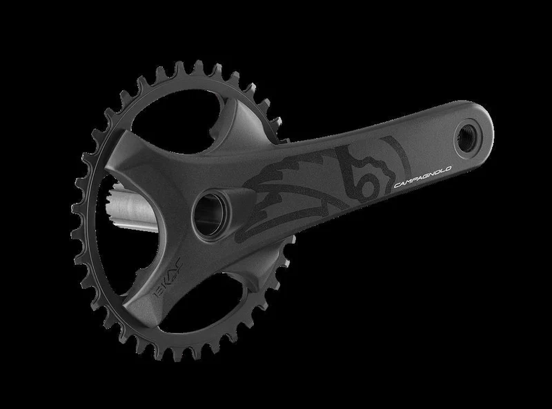 Campagnolo 13-fach,40Z.,175mm,Q-f.151mm,BCD 104mm KRG Ekar GT 13s