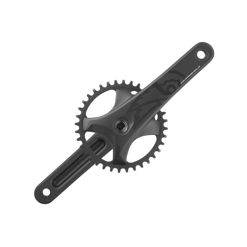 Campagnolo 13-fach,40Z.,172,5mm,Q-f.151mm,BCD 104mm KRG Ekar GT 13s