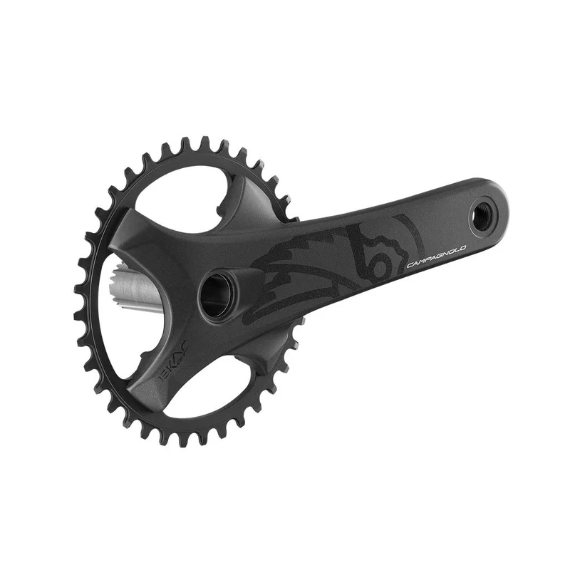 Campagnolo 13-fach,40Z.,172,5mm,Q-f.151mm,BCD 104mm KRG Ekar GT 13s