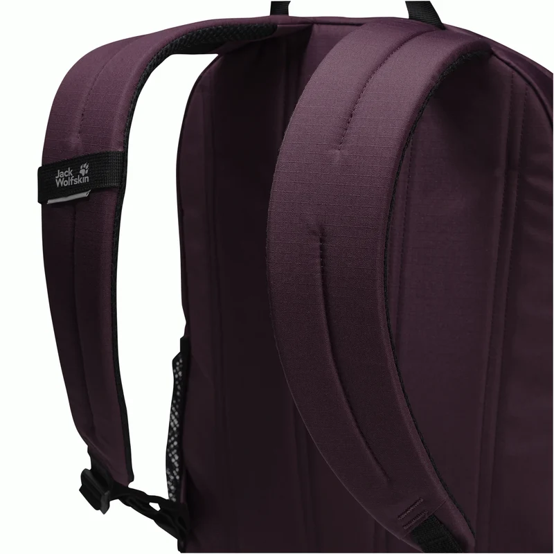 REBEL PACK 25