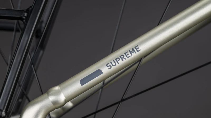 Cube Supreme RT Hybrid Comfort EXC 600 Wh E-Bike Easy Entry champagne´n´grey