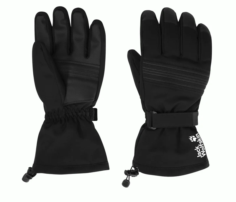 INS SKI GLOVE