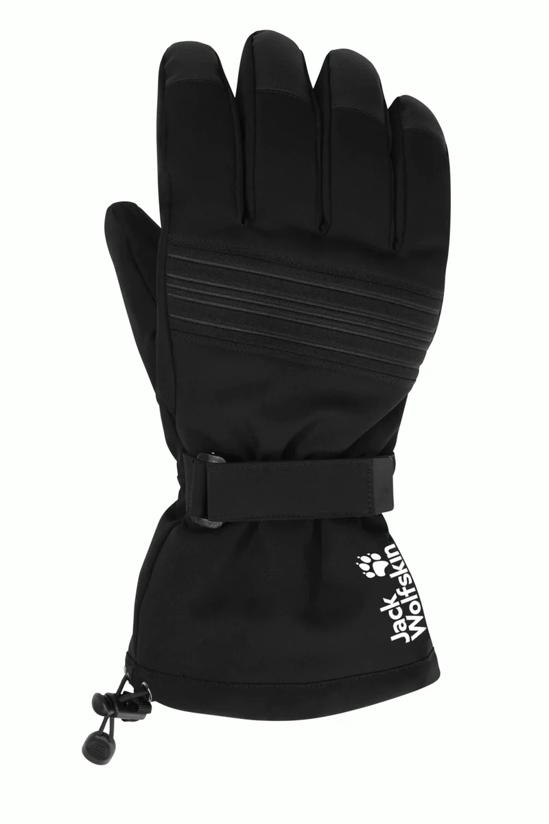 INS SKI GLOVE