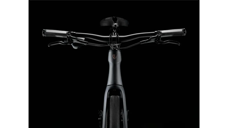 Trek FX Sport 4 Carbon Fitnessbike Diamant 28" matte onyx carbon