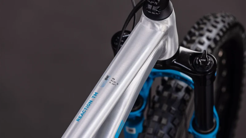 Cube Reaction TM One MTB-Hardtail Diamant rawmetal´n´blue