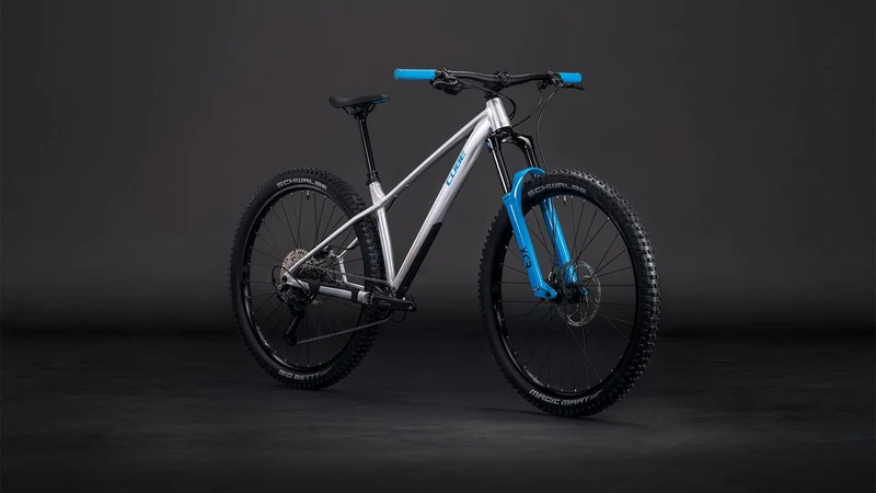 Cube Reaction TM One MTB-Hardtail Diamant rawmetal´n´blue