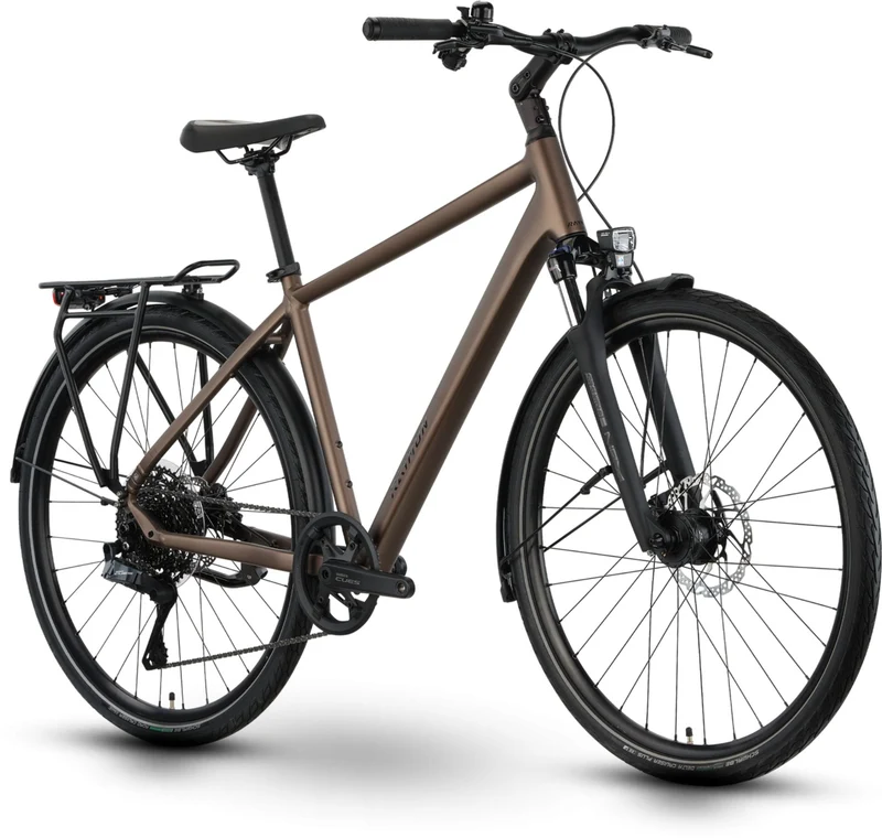 Raymon Zayn Auto Trekkingrad Diamant 28" mushroom