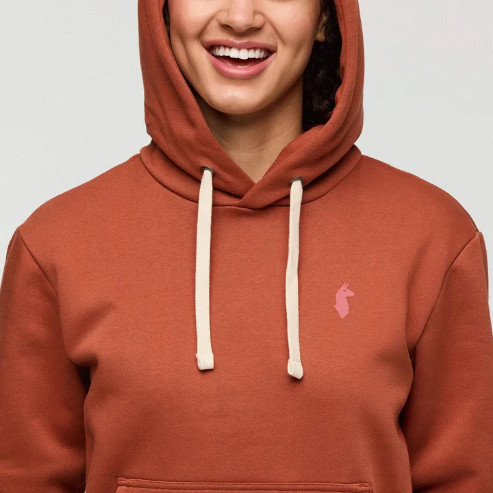 Up and Up Pullover Hoodie W