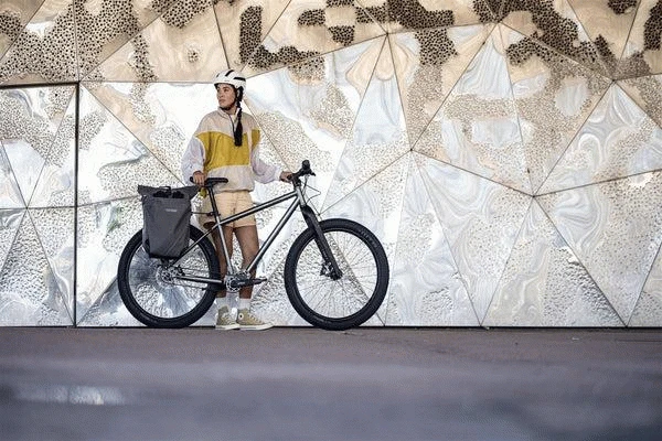 Vario Urban 20L QL2.2