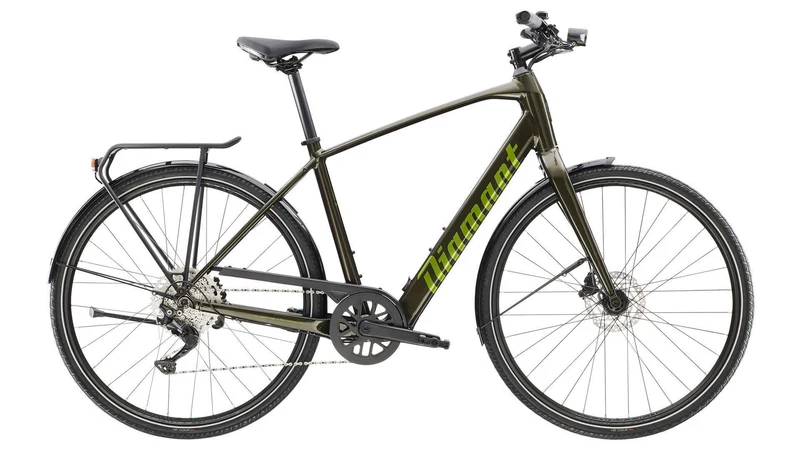 Diamant 365 Deluxe 250 Wh E-Bike 28" oxidgrün metallic